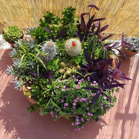 La Terrazza Near The Bed and Breakfast 3*
