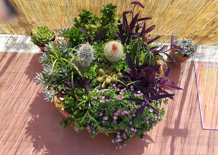 La Terrazza Near The فندق مبيت وإفطار 4*